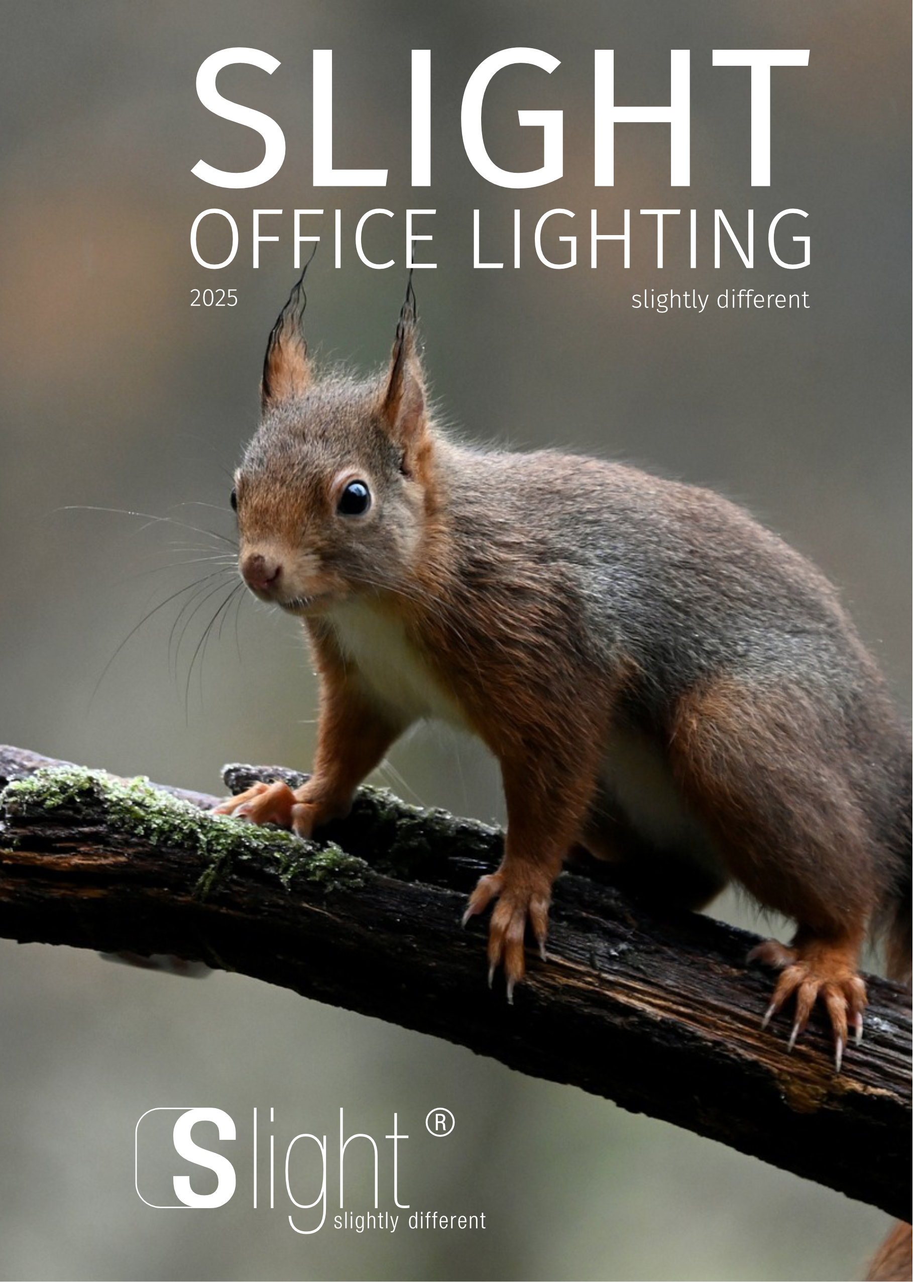 Slight WEB - Office lighting 2025 A5.pdf